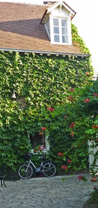 Hébergement en Val de Loire et Forêt d'Orléans