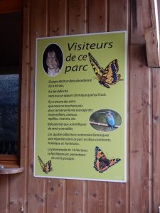arboretum des grandes bruyères à Ingrannes