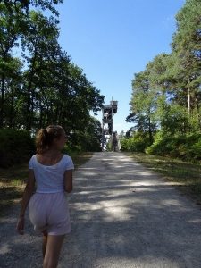 Le belvédère des Caillettes entre Nibelle et Seichebrières en Forêt d'Orléans
