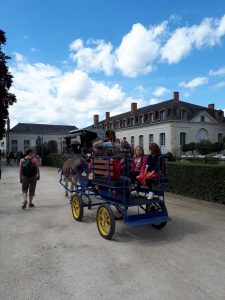 fête des rhododendrons à Châteauneuf-sur-Loire