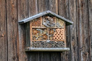 abri à insectes à la Maison de Loire du Loiret