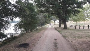 chemin de randonnée le long de la Loire à Jargeau