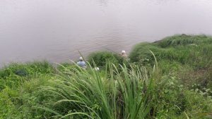 pêcheurs en Loire à Châteauneuf-sur-Loire