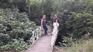 pont romantique dans le parc du château de Châteauneuf-sur-Loire