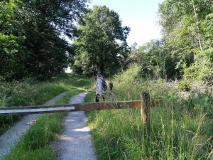 Randonnée en forêt d'Orléans