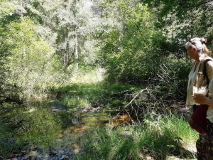 Francine Batsère en animation Bain de Forêt