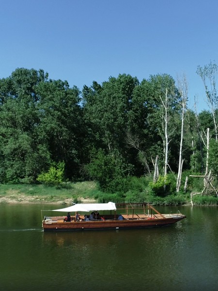 promenade en bateau sur la Loire à Sigloy