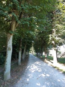 allée Lamballe à Châteauneuf-sur-Loire