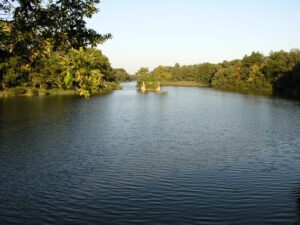 étang de l'Abbé Vion à Bouzy-la-Forêt