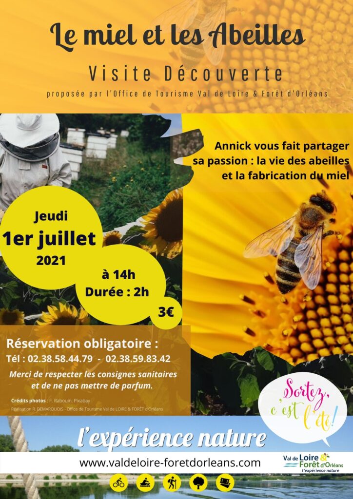 visite découverte chez Annick Thais, apicultrice à Tigy