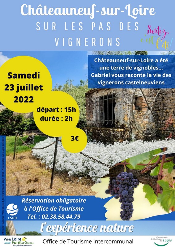 sur les pas des vignerons à Châteauneuf-sur-Loire