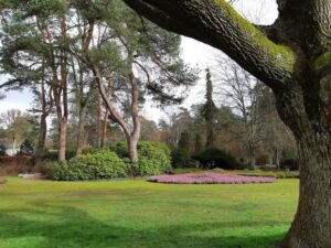 Arboretum des Grandes Bruyères à Ingrannes