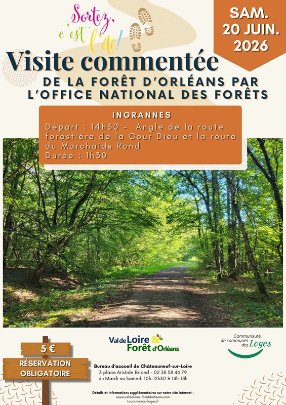 Visite commentée de la forêt d'Orléans le 20 juin à Ingrannes